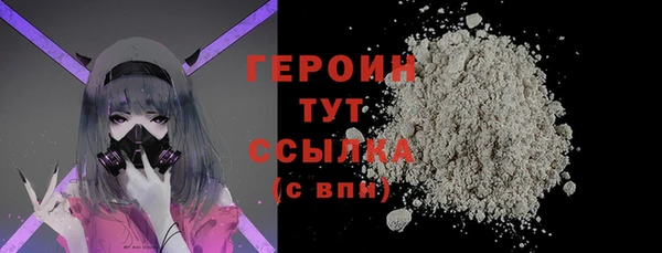 индика Ладушкин