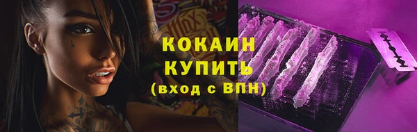 ПСИЛОЦИБИНОВЫЕ ГРИБЫ Лабытнанги