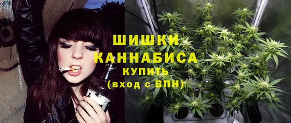 индика Ладушкин