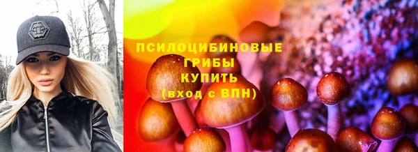 мдпв Абаза